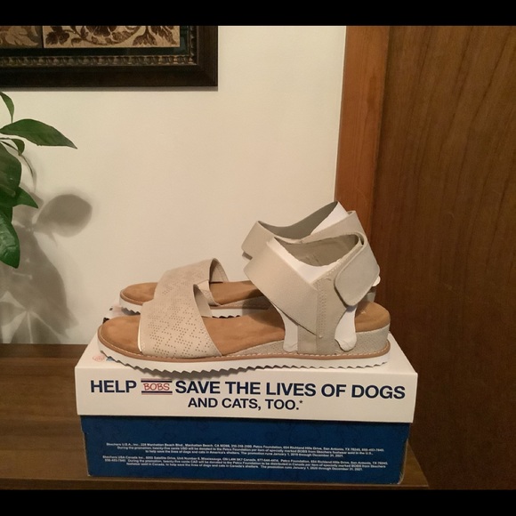 Ladies Bobs from Sketchers - Picture 5 of 8